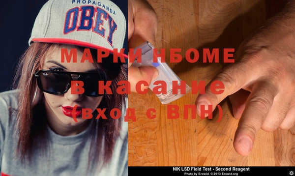 ГАЛЛЮЦИНОГЕННЫЕ ГРИБЫ Гусь-Хрустальный