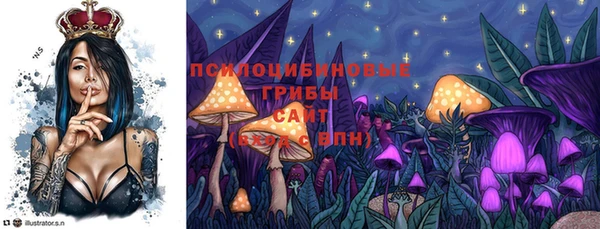 гашиш Дмитров