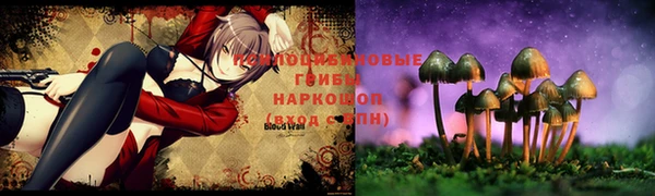 кокаин премиум Дмитриев
