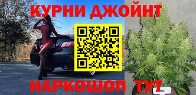 apvp Гусь-Хрустальный