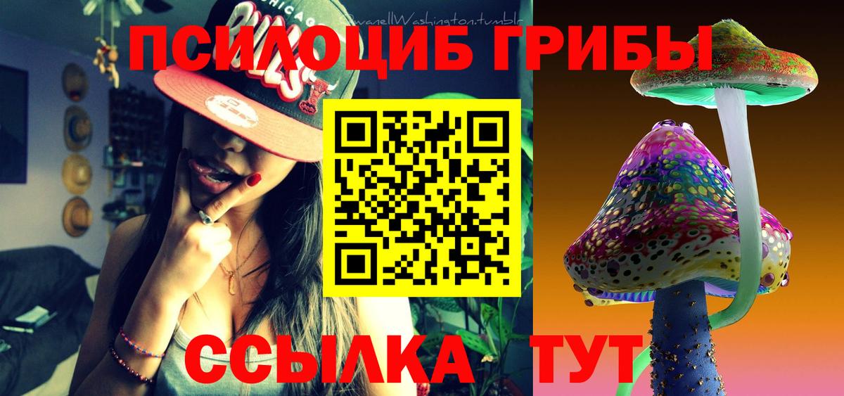 Псилоцибиновые грибы прущие грибы  Псилоцибиновые грибы Psilocybine cubensis  Вход с VPN  Хасавюрт 