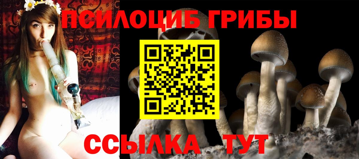 Псилоцибиновые грибы GOLDEN TEACHER Хасавюрт